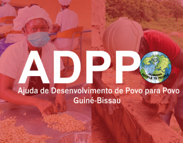 adpp (1)